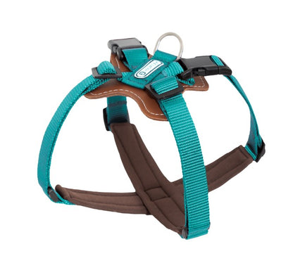 BOBO Series Leather X-shape Dog Harness [Aden Green]