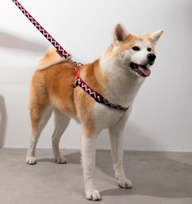 Rainbow Series Y-Shaped Dog Harness [Red]