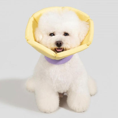 Soft Tapered Elizabethan Rings Dog & Cat Recovery Collar [Cheese Yellow]