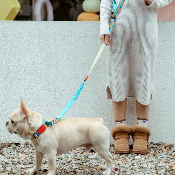 Colorful Pro Series Multipurpose Buffer Dog Leash [Sunrise]