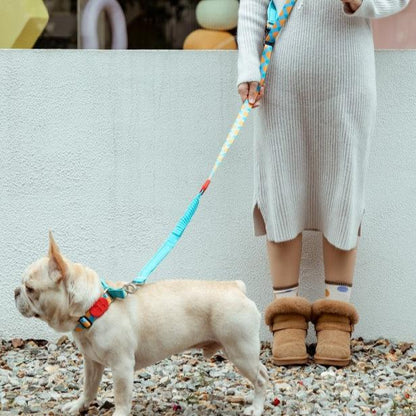Colorful Pro Series Multipurpose Buffer Dog Leash [Sunrise]