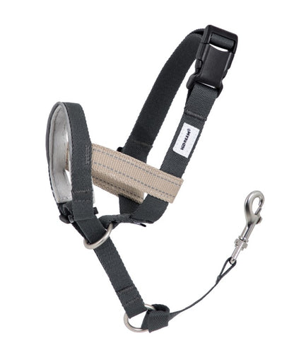 Valley Series Anti-Pulling Dog Muzzle [Buckwheat Grey]