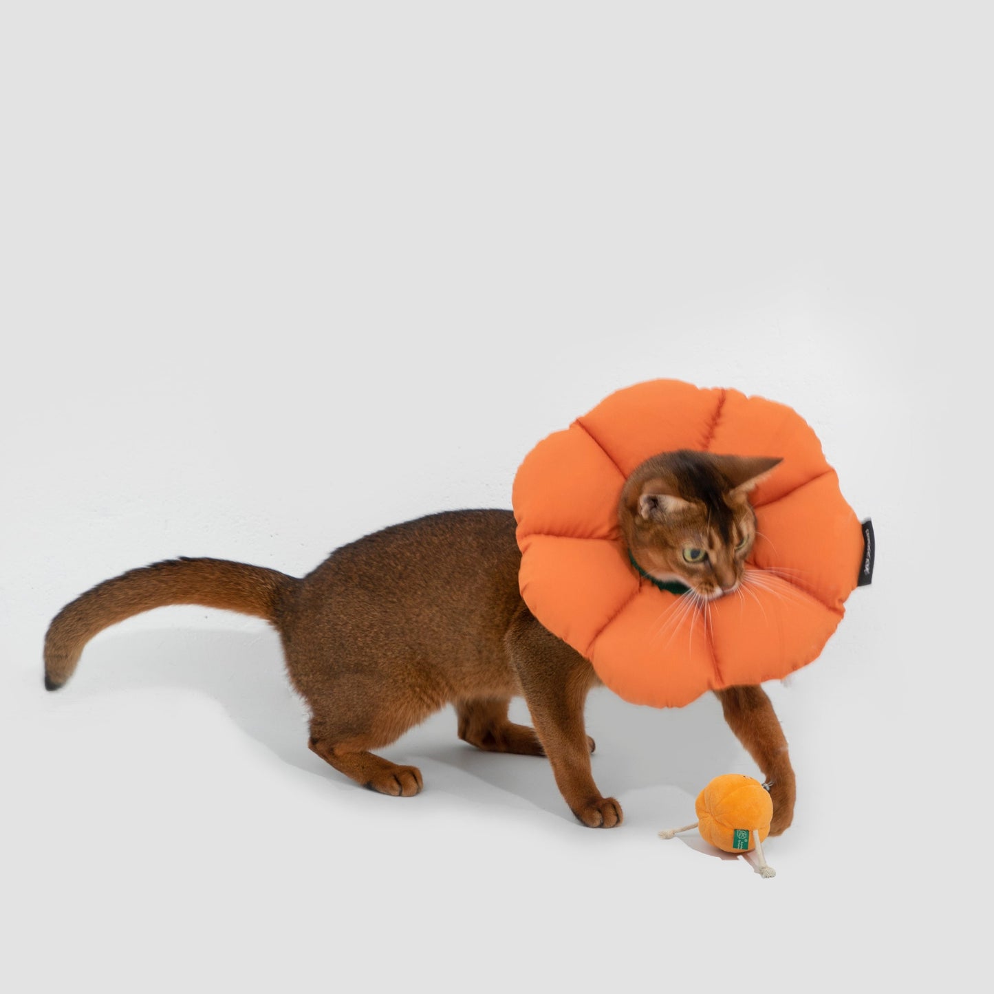 Flower Shaped Elizabethan Rings Dog & Cat Recovery Collar [Pumpkin Orange]