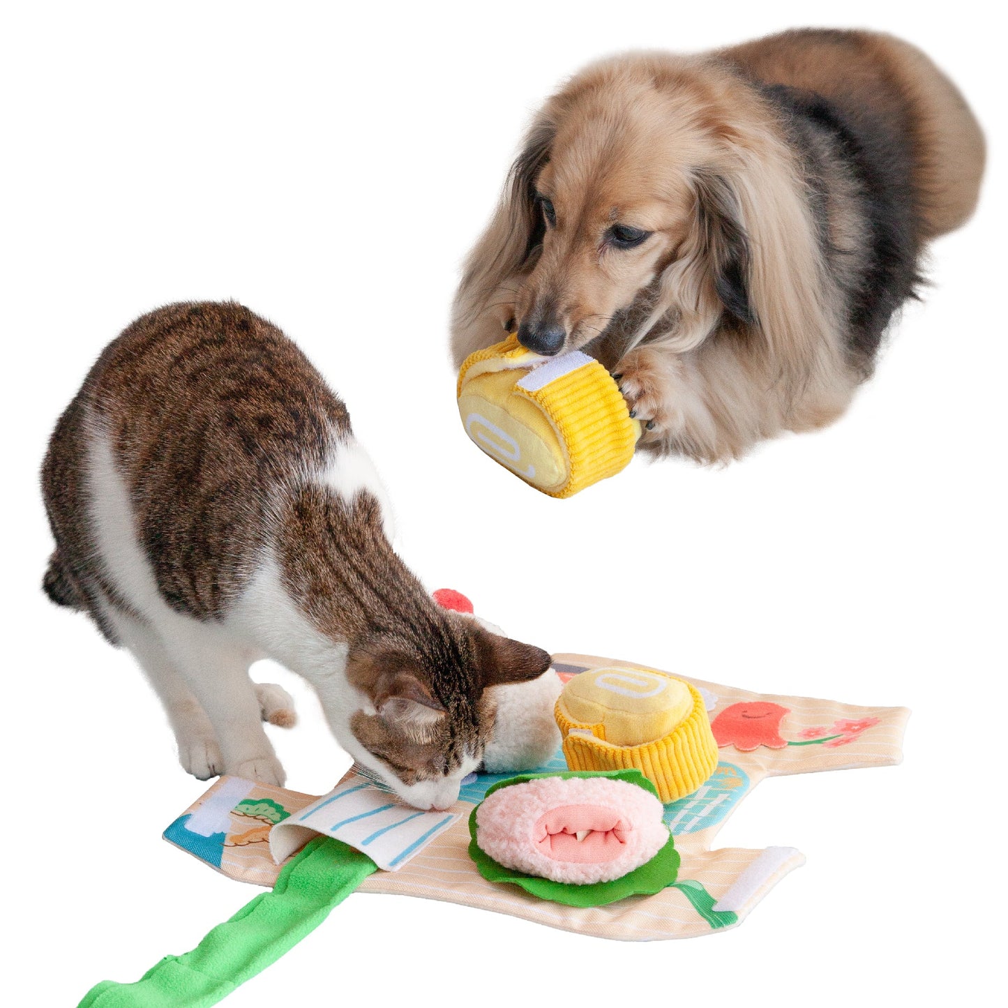 🍱 Bento Box Snuffle Box Set