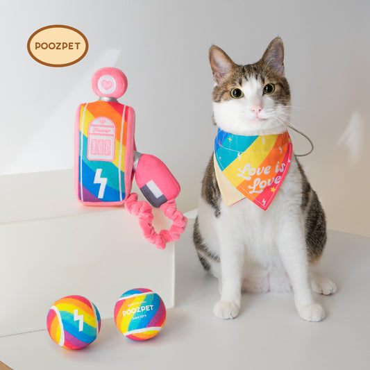 🌈 Recharge with Pride Toys