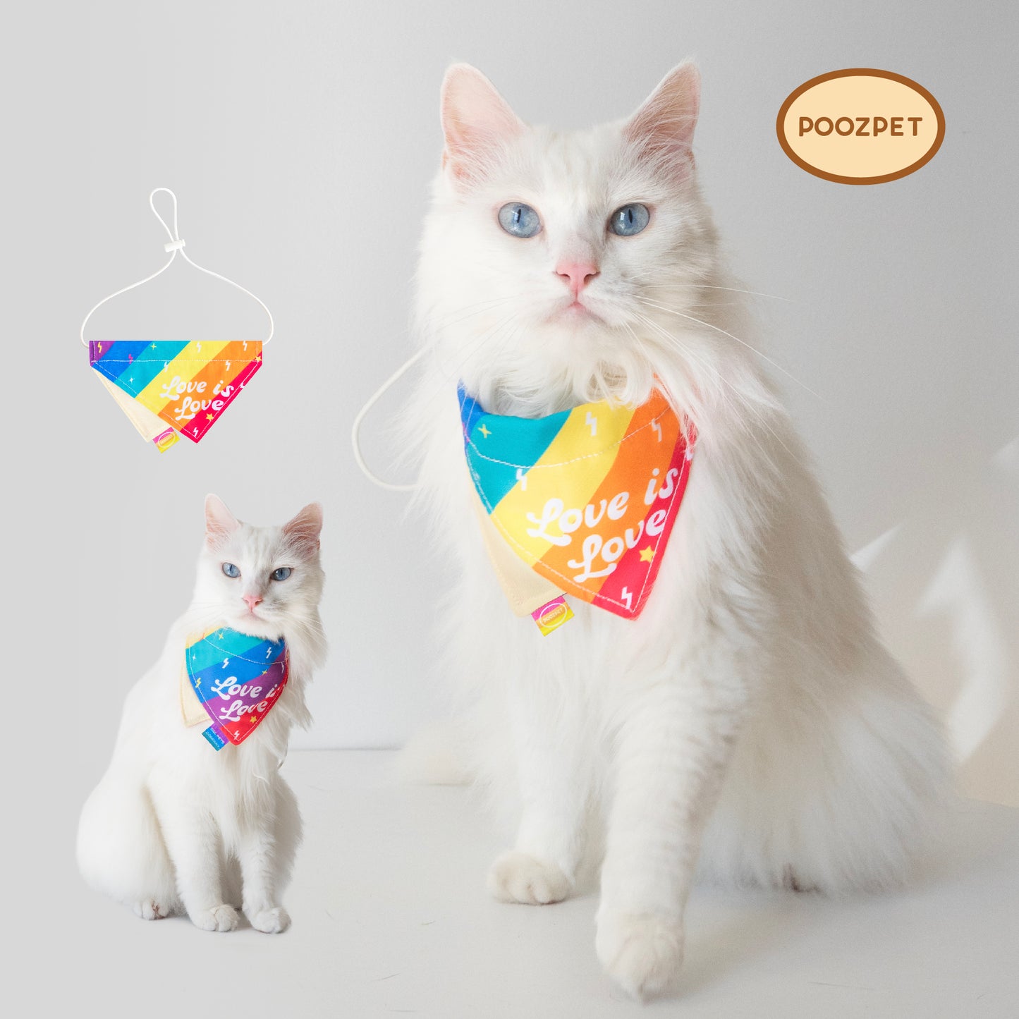 🌈 Recharge with Pride Toys