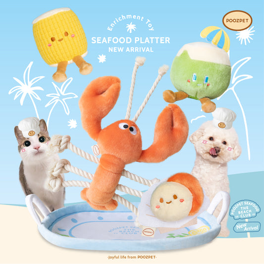 🦞 Seafood Platter Enrichment Gift Set