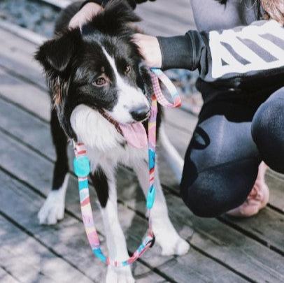 Colorful Pro Series Multipurpose Buffer Dog Leash [Mountain and River Impressions]
