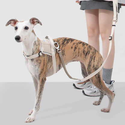 Valley Series Quick Fit No-Pull Dog Harness [Milk Brown]