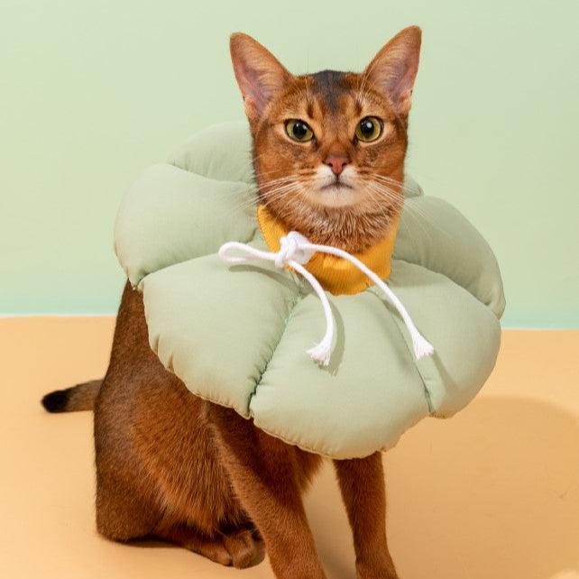 Flower Shaped Elizabethan Rings Dog & Cat Recovery Collar [Wasong Green]