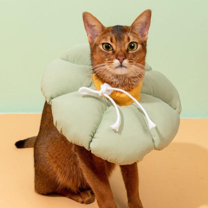 Flower Shaped Elizabethan Rings Dog & Cat Recovery Collar [Wasong Green]