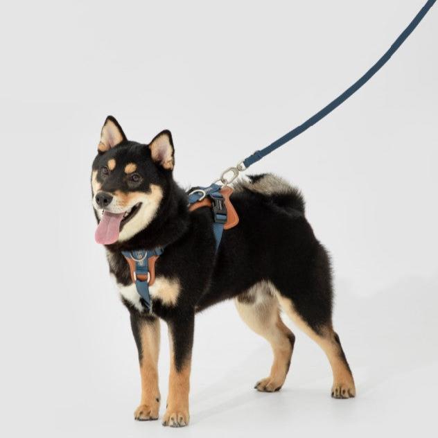 BOBO Series Leather I-shape Dog Harness [Cloud Mountain Blue]