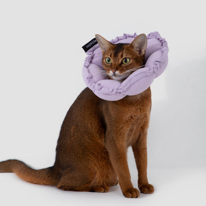 Flower Shaped Elizabeth Collar for Dog & Cat [Wisteria Purple]