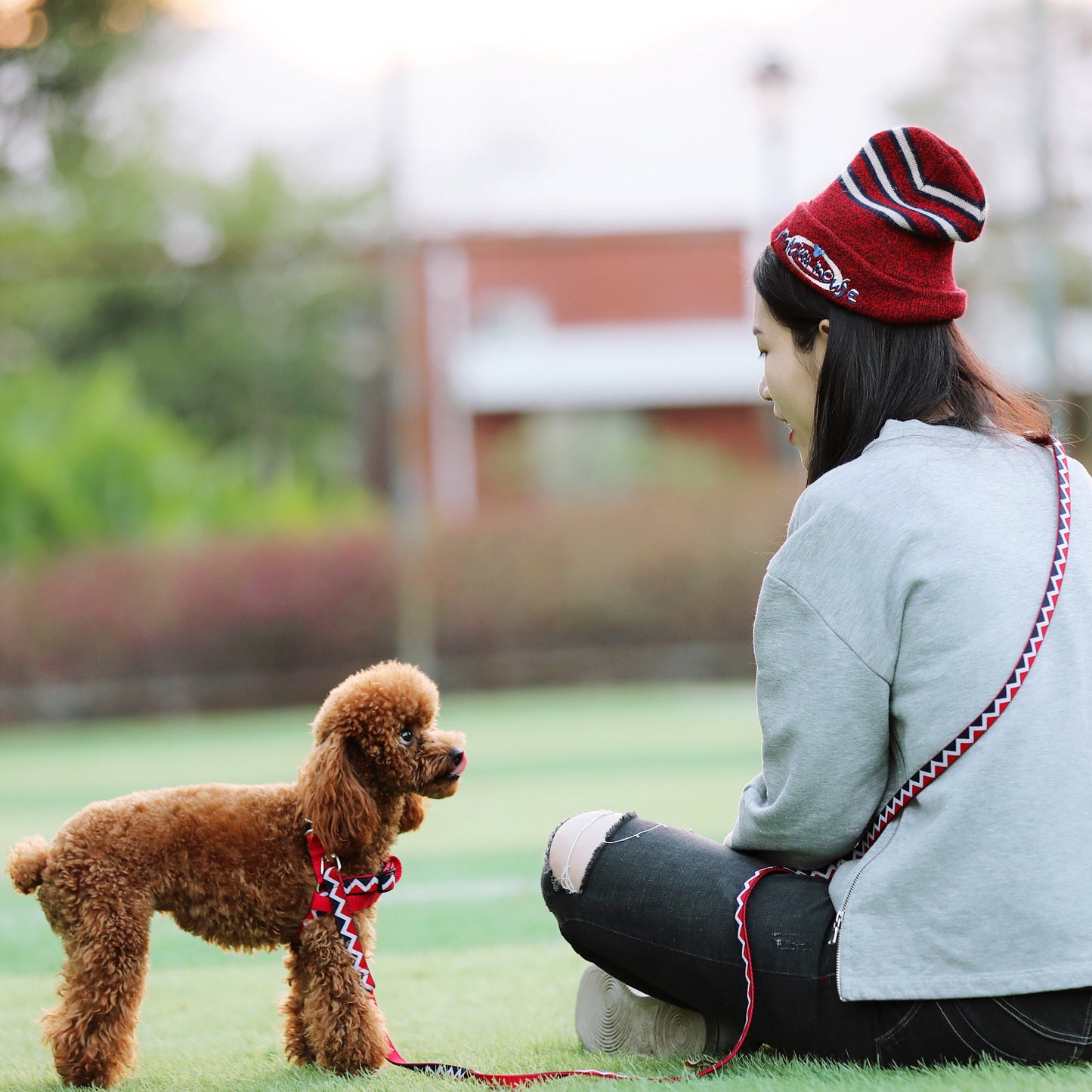 Rainbow Series Hands-Free Multi-Functional Dog Leash [Red]