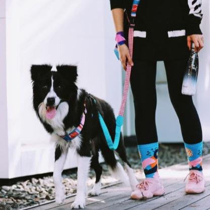 Colorful Pro Series Multipurpose Buffer Dog Leash [Mountain and River Impressions]