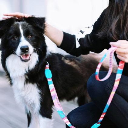 Colorful Series Adjustable Dog Leash [Mountain and River Impressions]