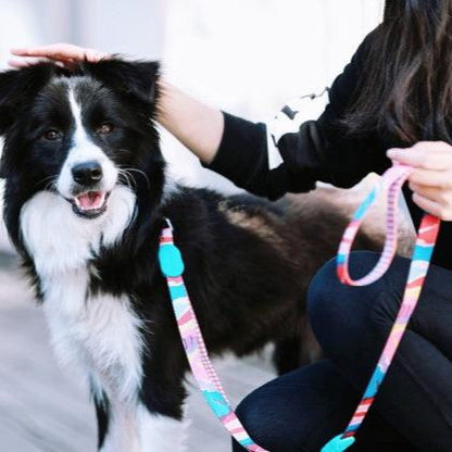Colorful Series Adjustable Dog Leash [Mountain and River Impressions]