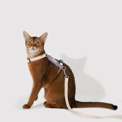 Valley Series Cat H-Shape Harness and Leash Set [Milk Brown with Purple]