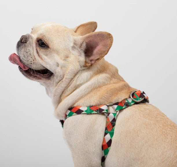 Colorful Series Y-Shaped Harness [Pop Art]