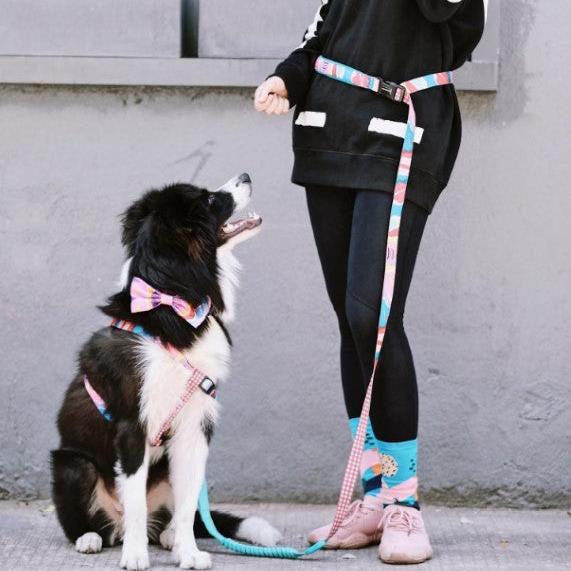 Colorful Pro Series Multipurpose Buffer Dog Leash [Mountain and River Impressions]