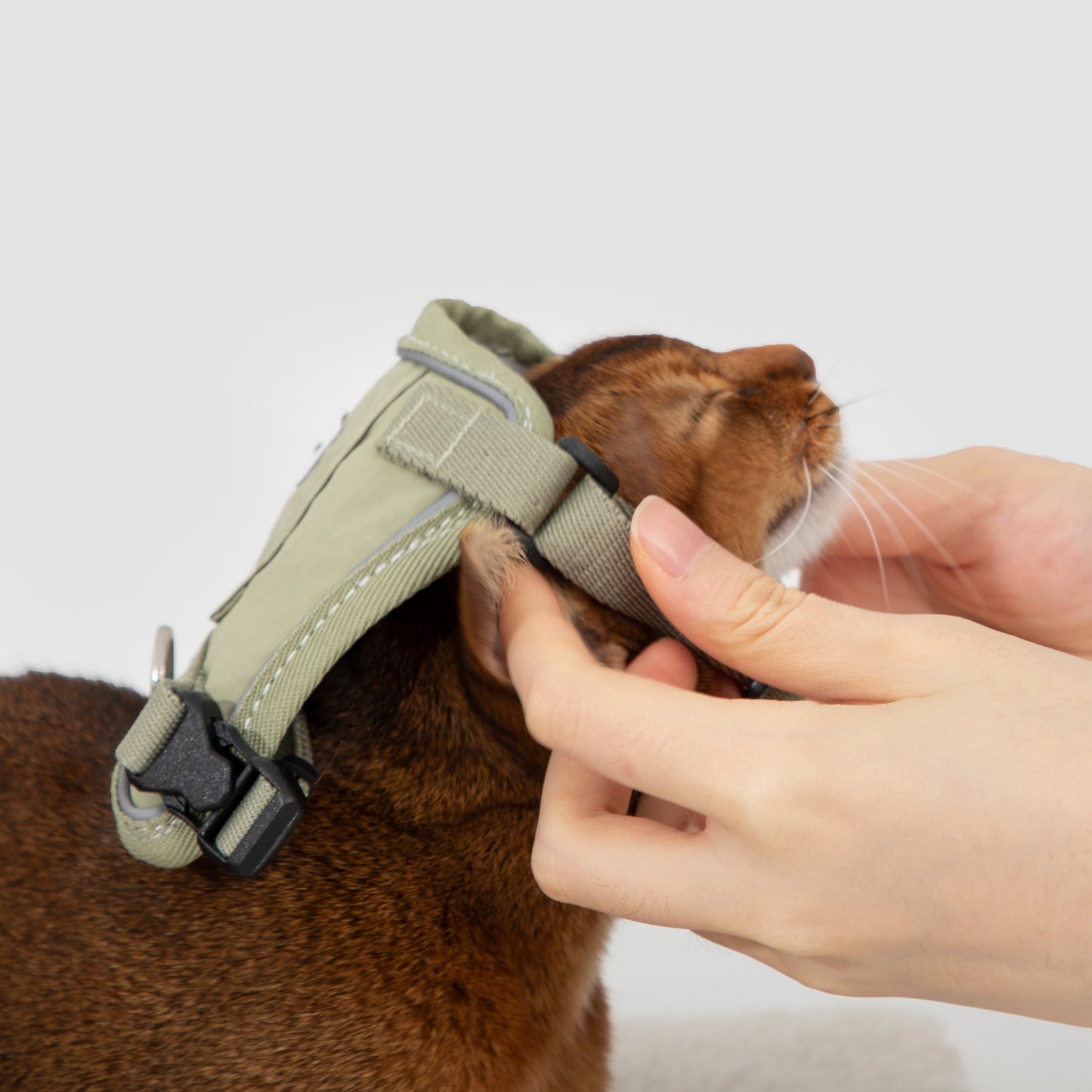 Valley Series Vest-Style Cat Harness and Leash Set [Olive Green]