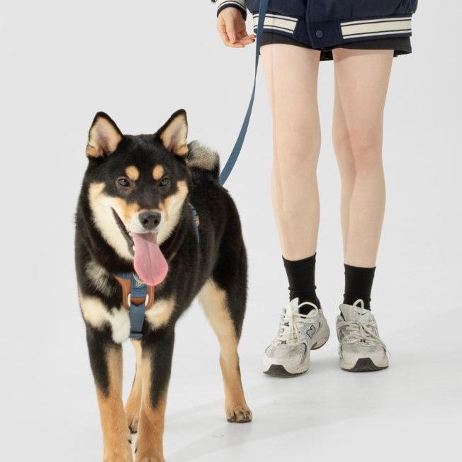 BOBO Series Leather I-shape Dog Harness [Cloud Mountain Blue]
