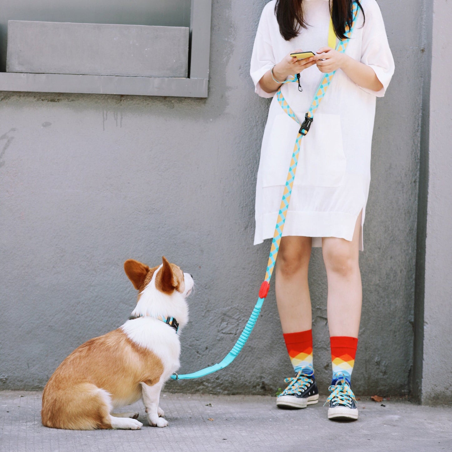 Colorful Pro Series Multipurpose Buffer Dog Leash [Sunrise]