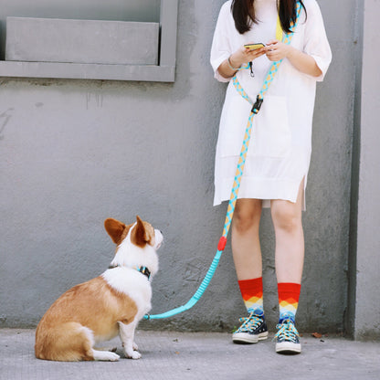 Colorful Pro Series Multipurpose Buffer Dog Leash [Sunrise]