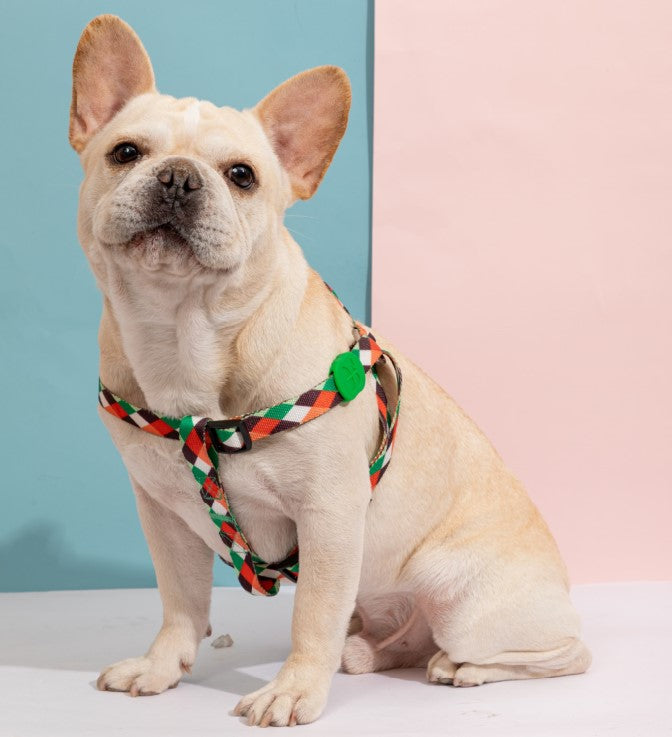 Colorful Series Y-Shaped Harness [Pop Art]