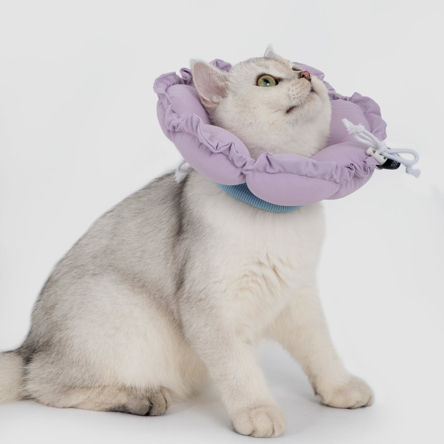 Flower Shaped Elizabeth Collar for Dog & Cat [Wisteria Purple]