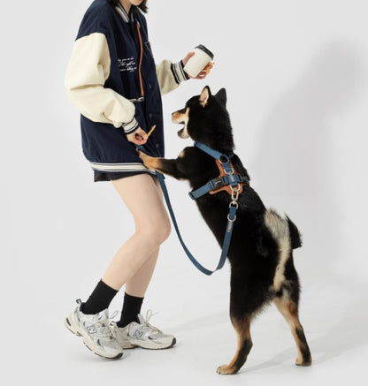 BOBO Series Leather Hands Free Multi-Function Cross Body Dog Leash [Cloud Mountain Blue]