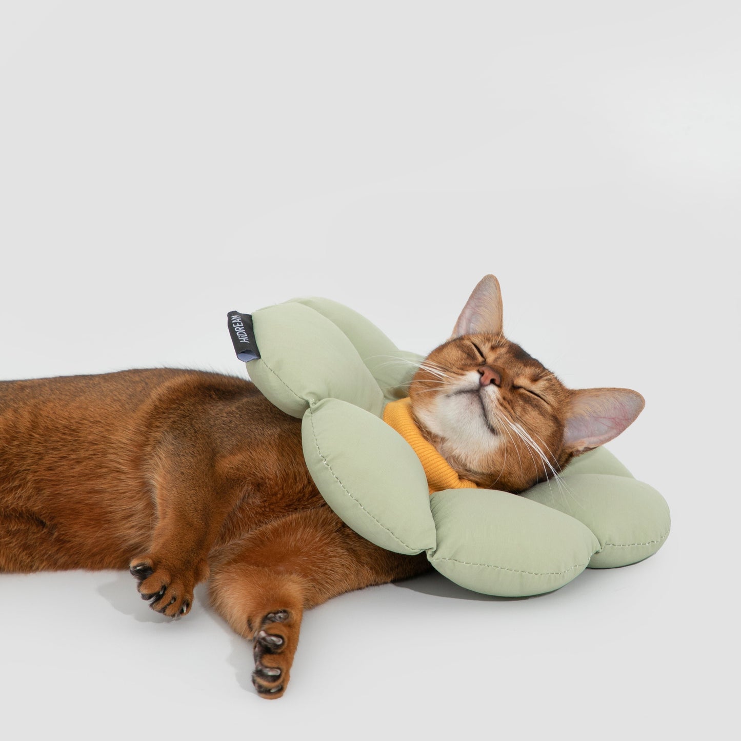 Flower Shaped Elizabethan Rings Dog & Cat Recovery Collar [Wasong Green]