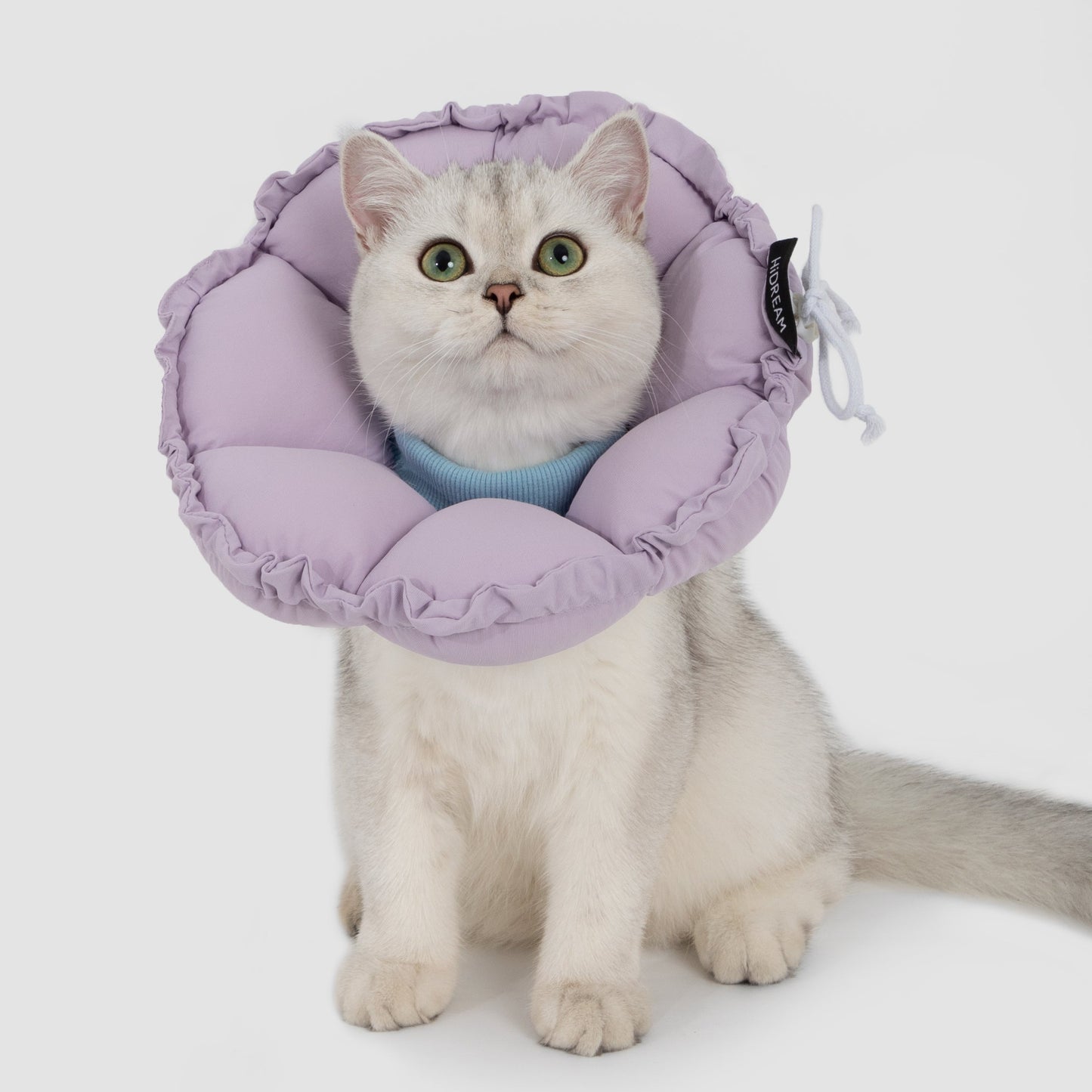 Flower Shaped Elizabeth Collar for Dog & Cat [Wisteria Purple]
