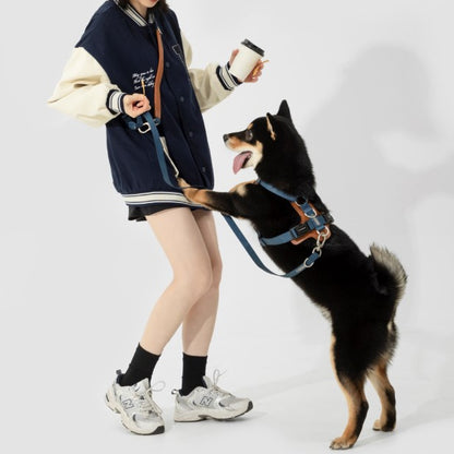 BOBO Series Leather Hands Free Multi-Function Cross Body Dog Leash [Cloud Mountain Blue]