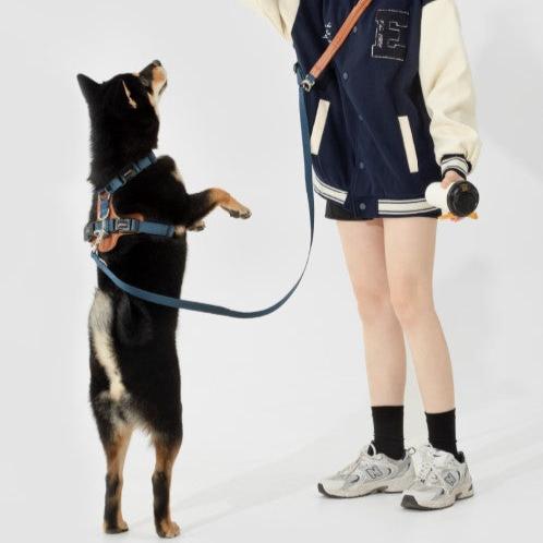 BOBO Series Leather I-shape Dog Harness [Cloud Mountain Blue]