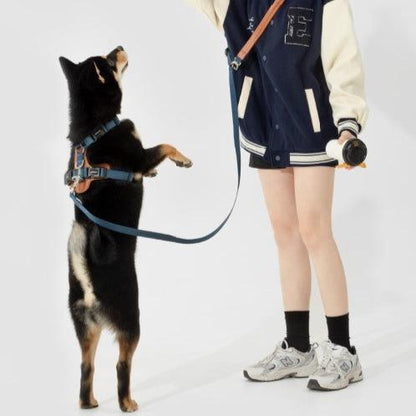 BOBO Series Leather I-shape Dog Harness [Cloud Mountain Blue]
