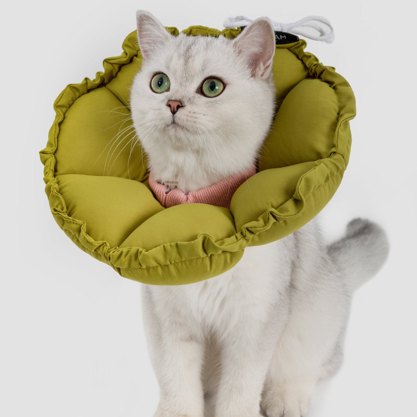 Flower Shaped Elizabeth Collar for Dog & Cat [Roof Pine Green]