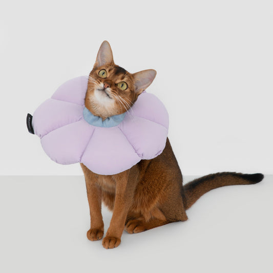 Flower Shaped Elizabethan Rings Dog & Cat Recovery Collar [Vine purple]