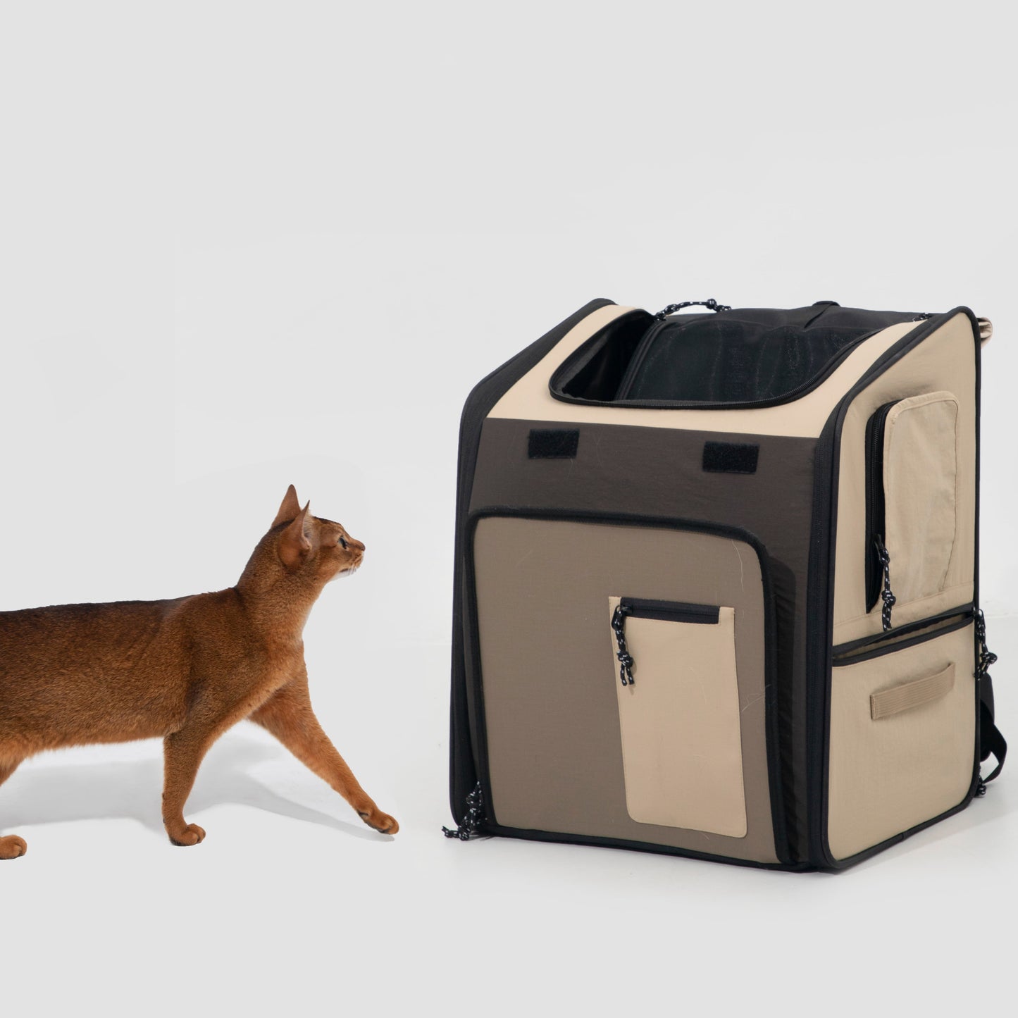 Expandable Pet Carrier Travel Backpack & Pet Tent 2-in-One [Chestnut Brown - Pre-Order]