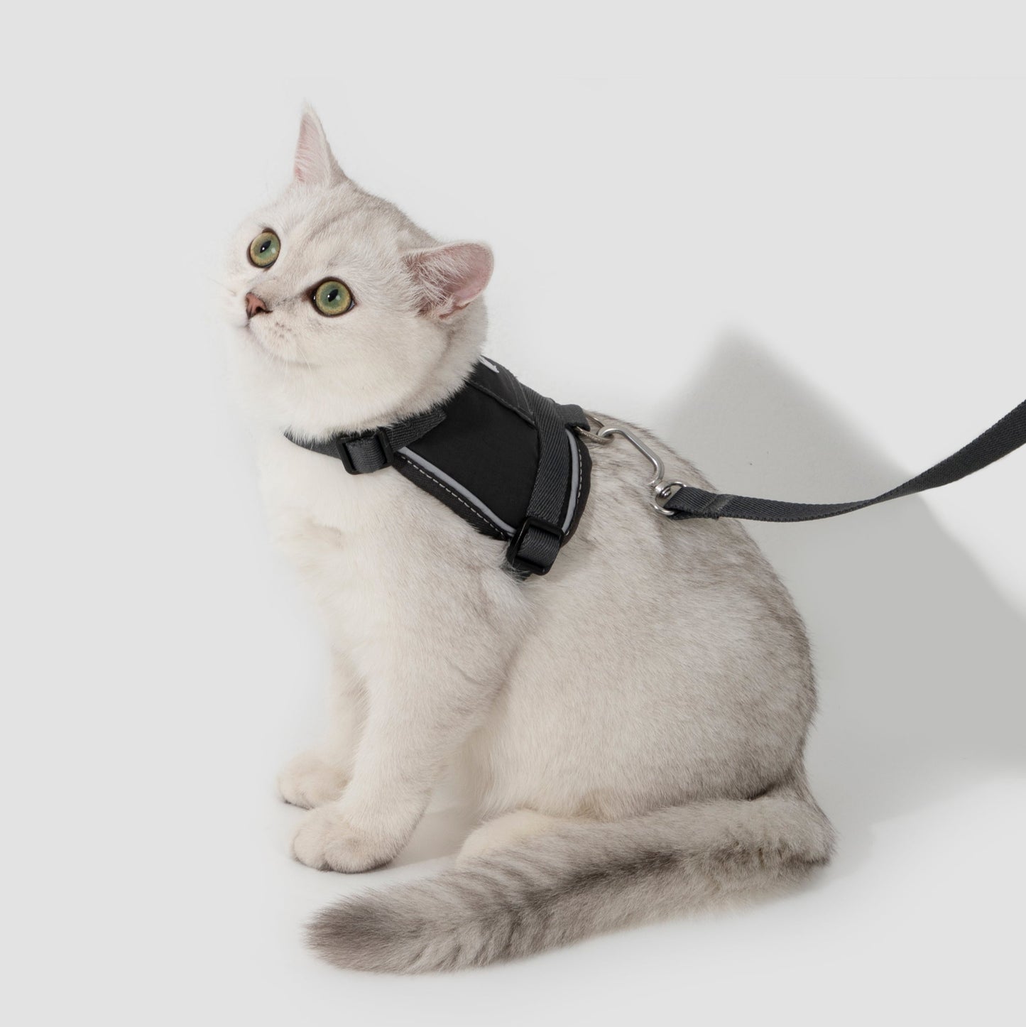 Valley Series Vest-Style Cat Harness and Leash Set [Buckwheat Gray]