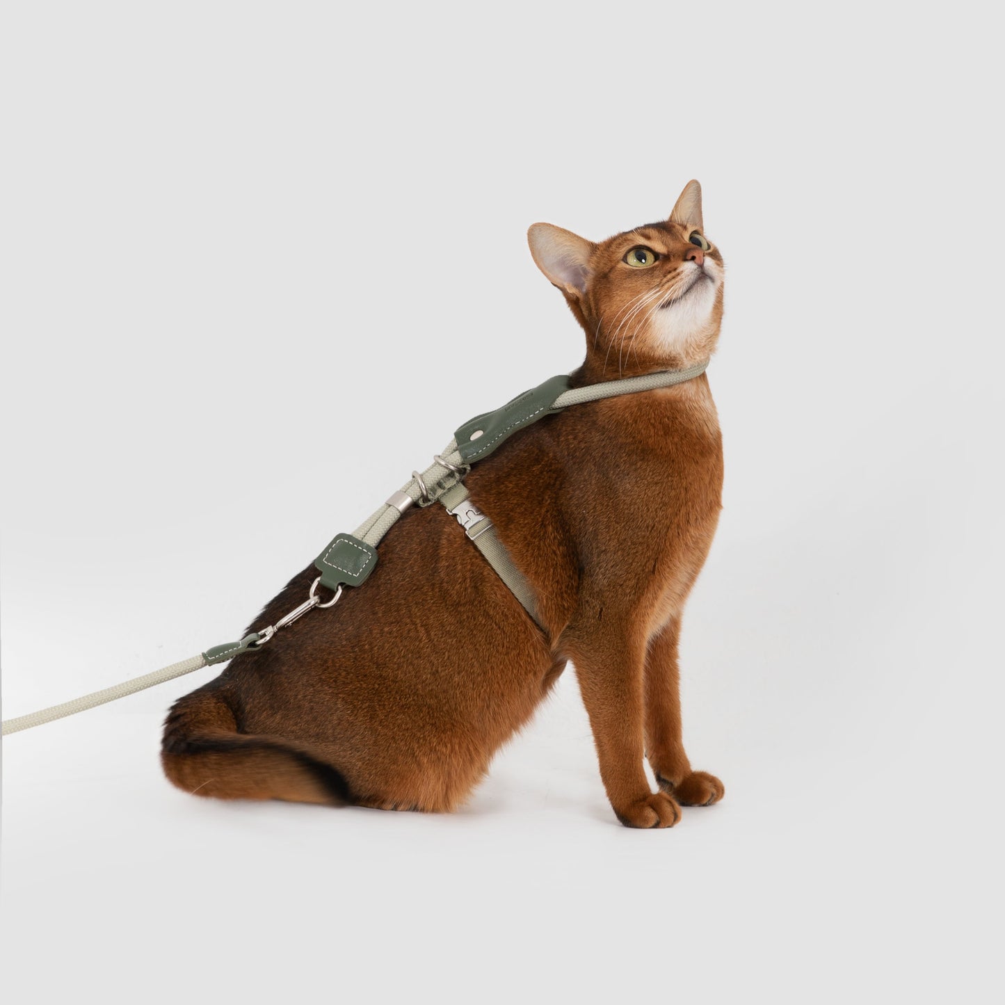 Leather Round Rope Cat Harness & Leash Set [Olive Green]