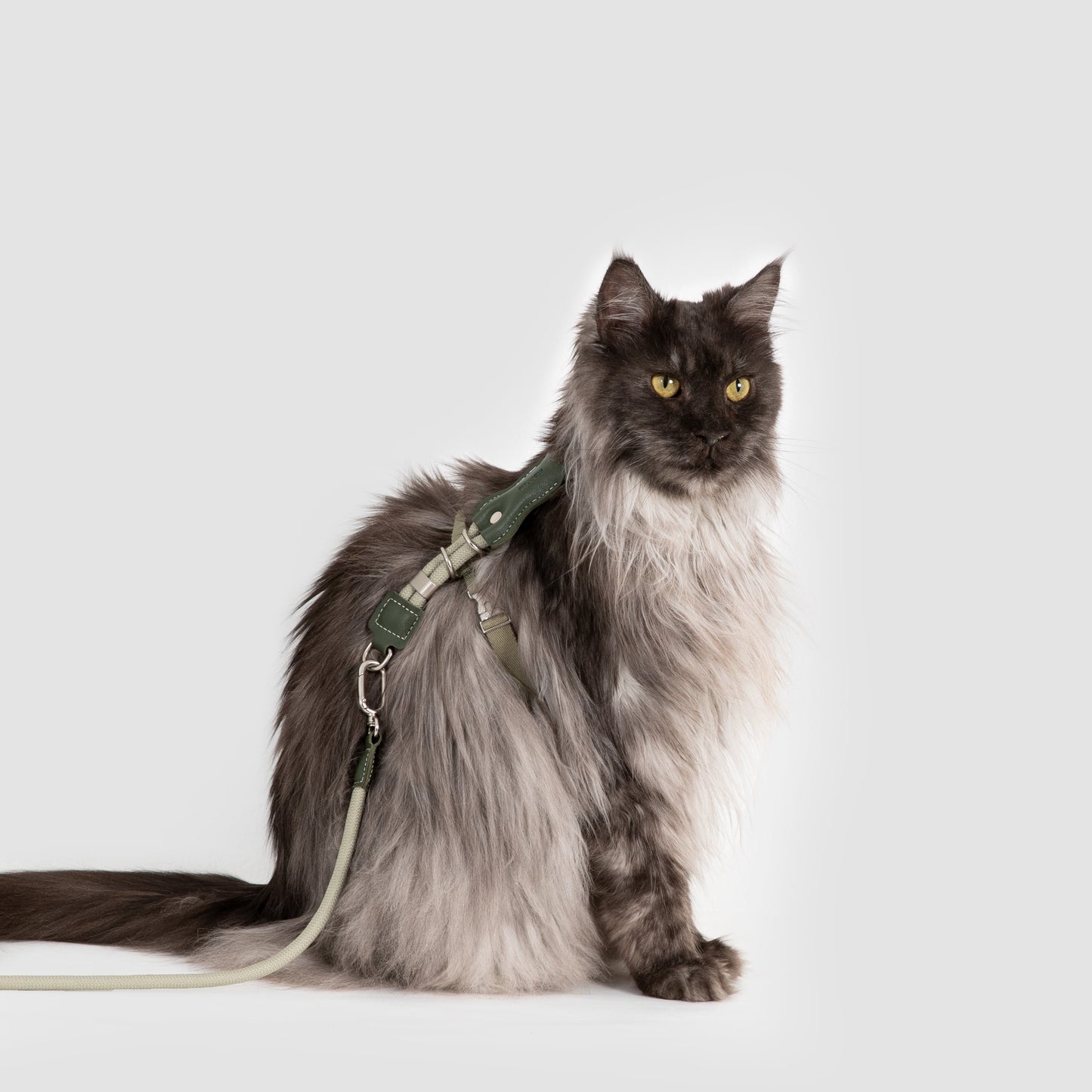 Leather Round Rope Cat Harness & Leash Set [Olive Green]