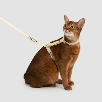 Two-Tone Leather Cat Harness &  Leash Set [🍋 Fruit Stem Yellow]