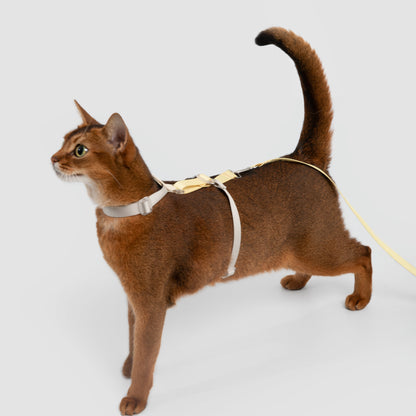 Two-Tone Leather Cat Harness &  Leash Set [🍋 Fruit Stem Yellow]