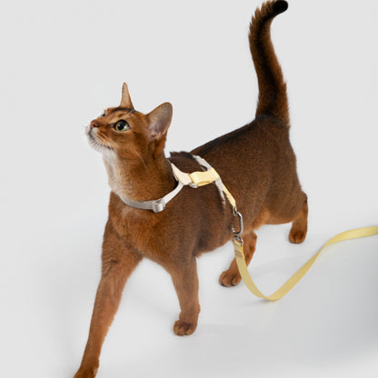 Two-Tone Leather Cat Harness &  Leash Set [🍋 Fruit Stem Yellow]