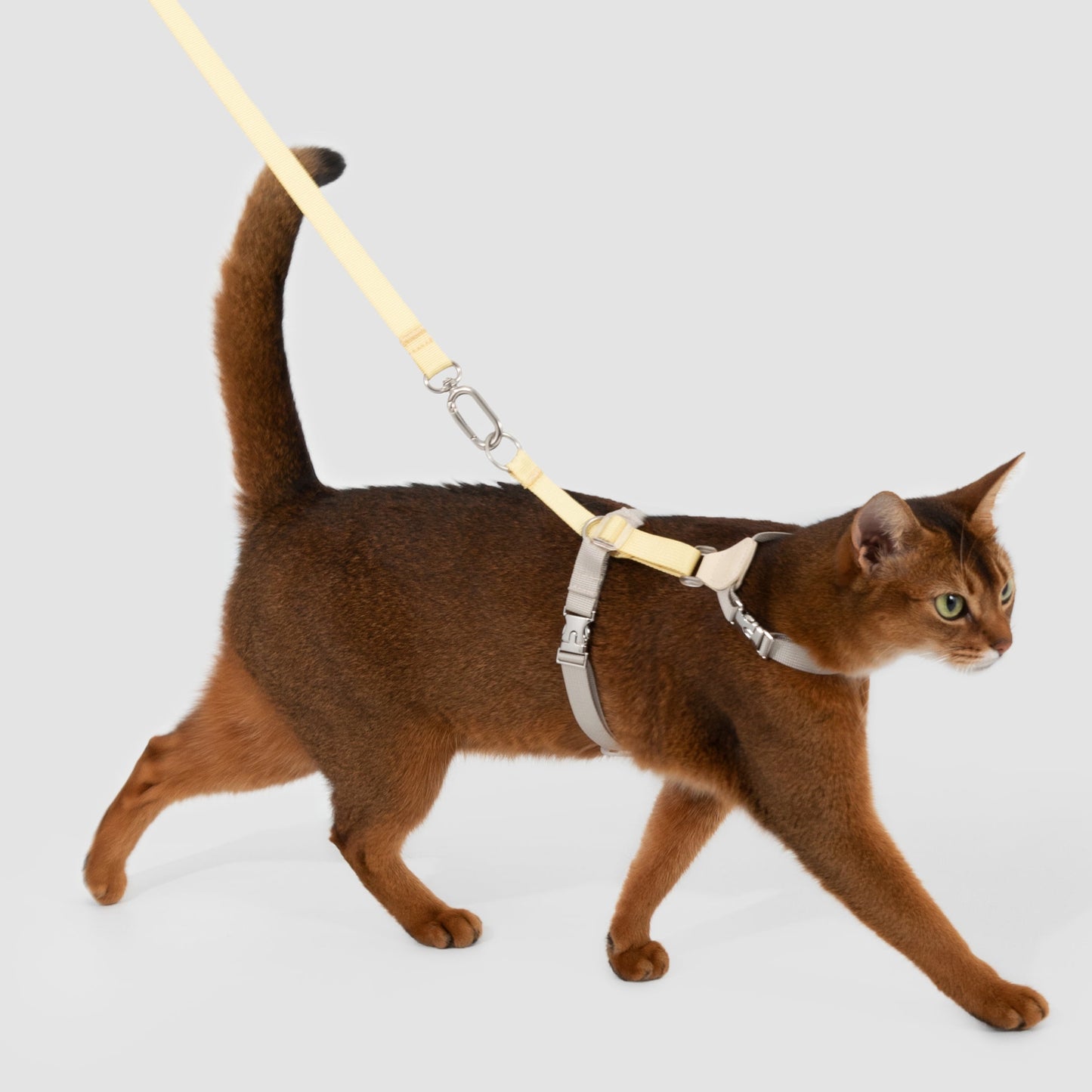 Two-Tone Leather Cat Harness &  Leash Set [🍋 Fruit Stem Yellow]