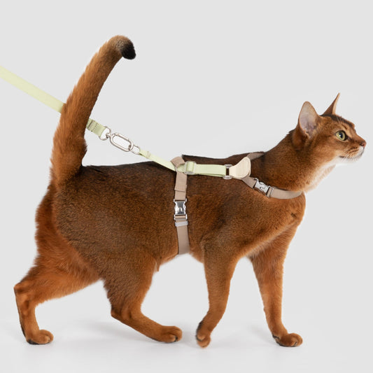 Two-Tone Leather Cat Harness &  Leash Set [🌿Moss Brown-Green]