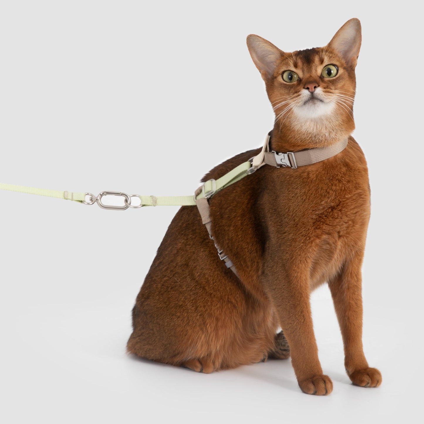 Two-Tone Leather Cat Harness &  Leash Set [🌿Moss Brown-Green]