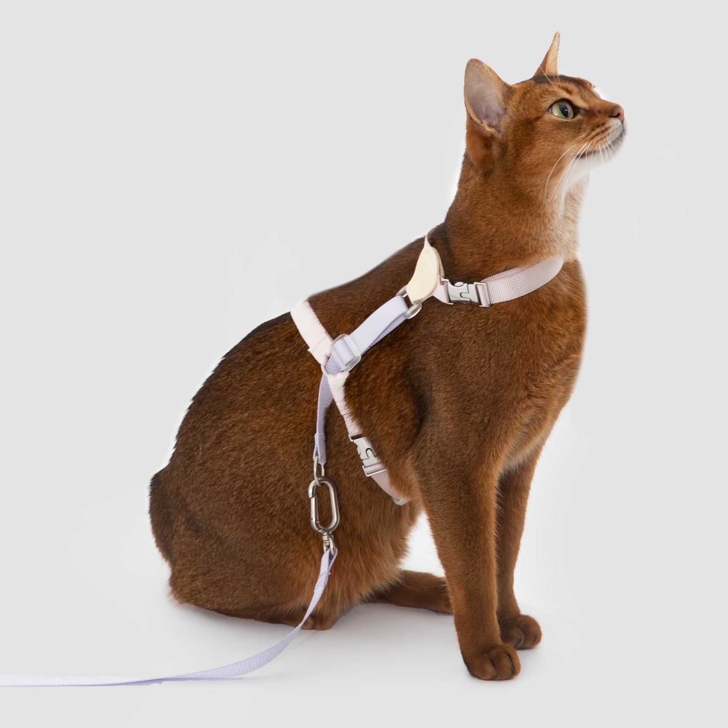 Two-Tone Leather Cat Harness &  Leash Set [🍇Berry Jam Purple]