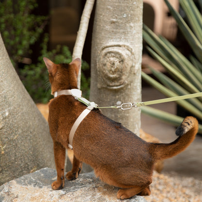 Two-Tone Leather Cat Harness &  Leash Set [🌿Moss Brown-Green]